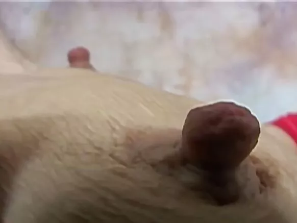 ଛୋଟ ସାଗି ଟାଇଟ୍, ବଡ ସାଗି ସ୍ତନ ପରିପକ୍ୱ 4