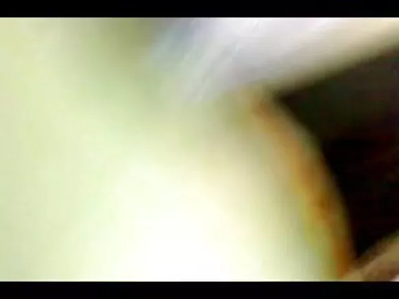 ଭାରତୀୟ ମାଉସୀ ପରିପକ୍ୱ ପଶୁ 1041